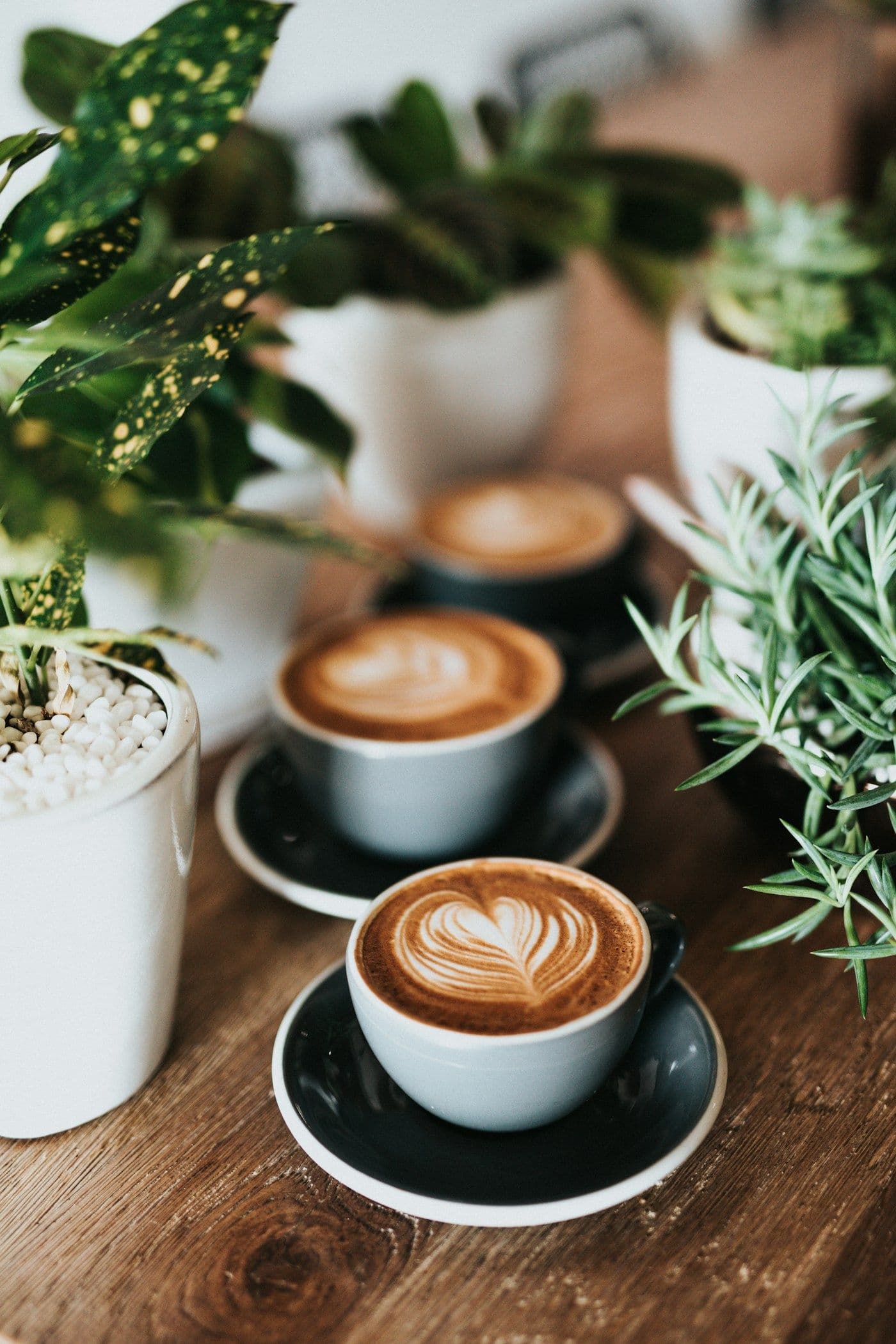 Nook Espresso Bar